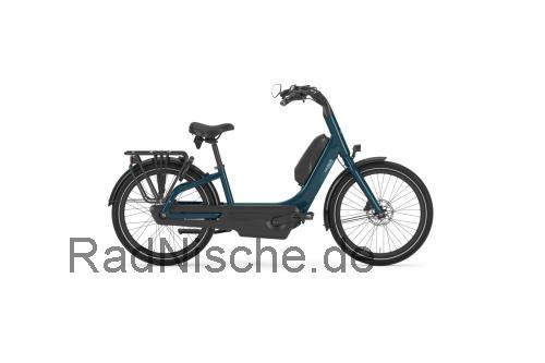 Gazelle Easyflow  technische daten 